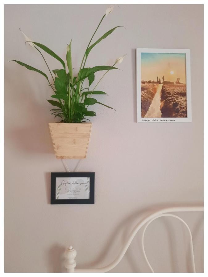 Bed and Breakfast La Casina Trecasali Экстерьер фото